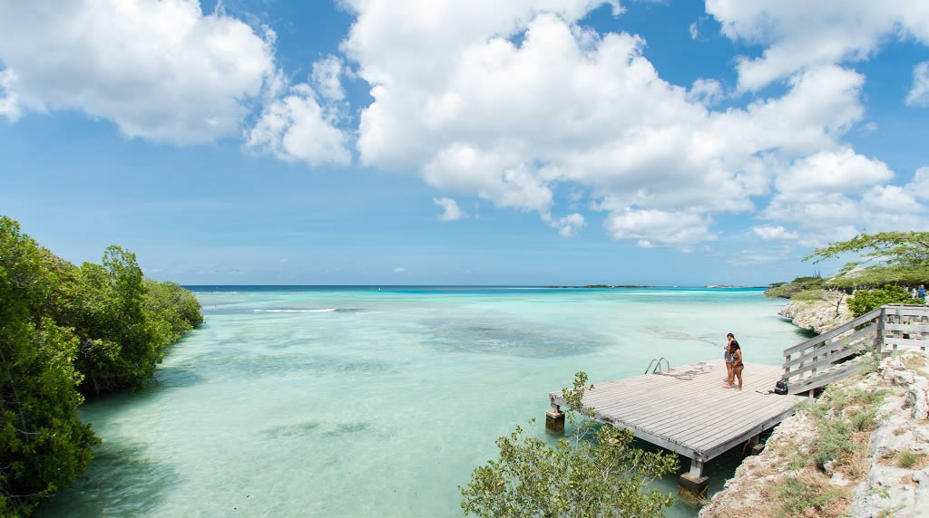 Mangel Halto, Aruba